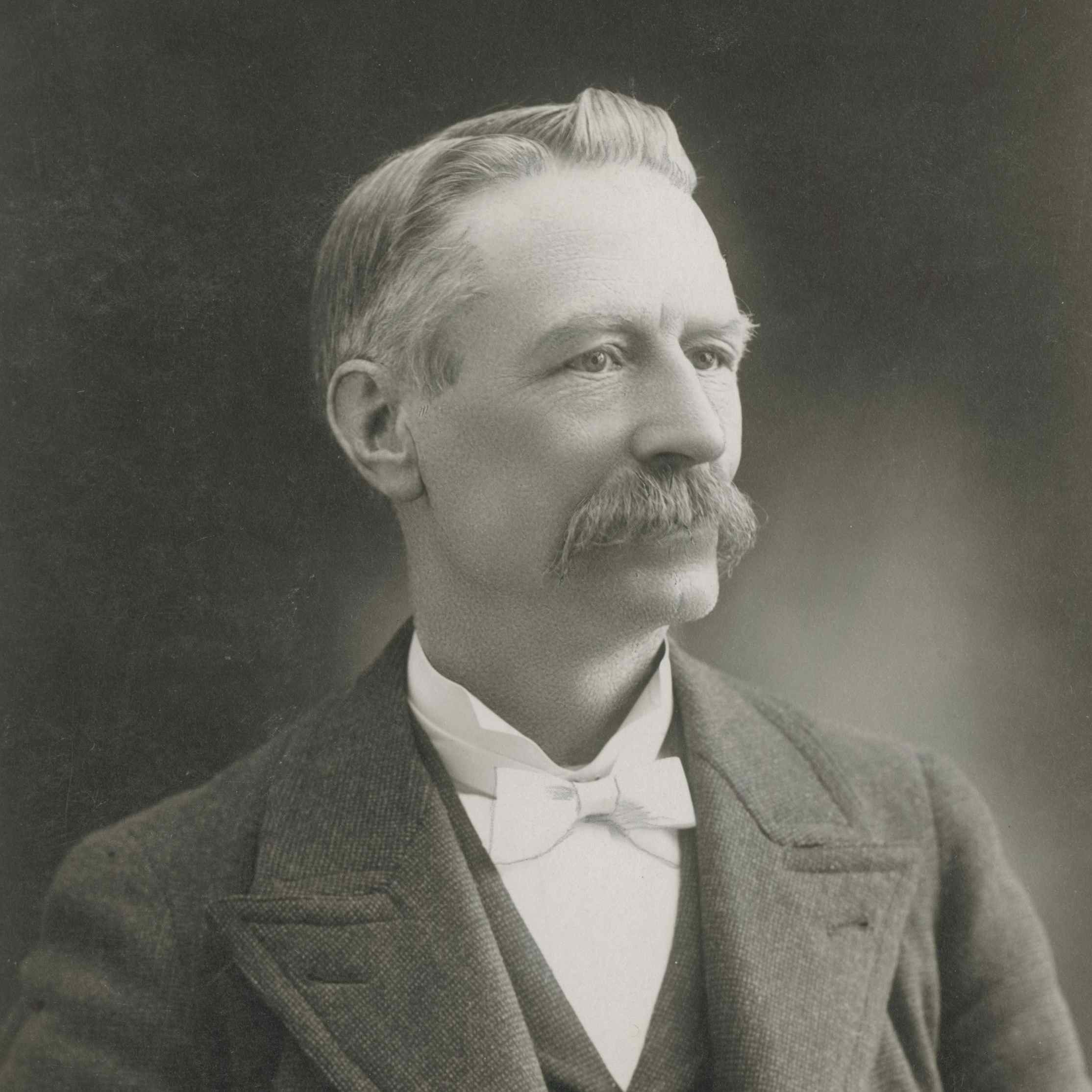 William McLachlan (1840 - 1916)